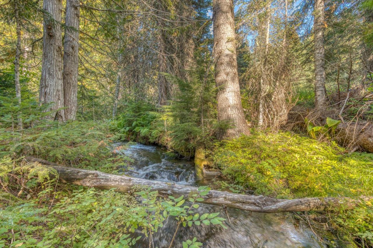 Still Creek Cabin Villa Гавърнмънт Кемп Екстериор снимка